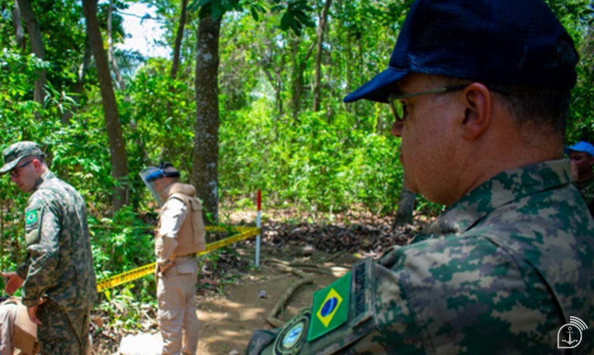 imagem de capa da matéria