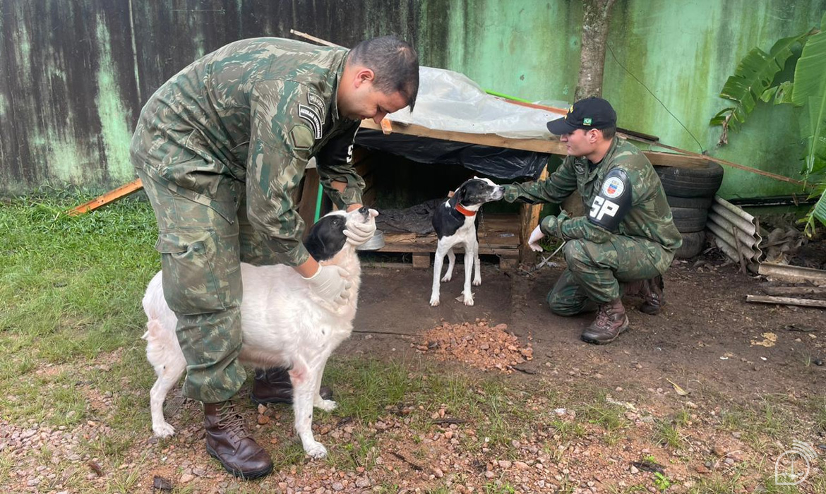 imagem de capa da matéria