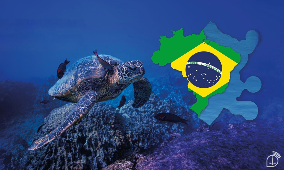 imagem de capa da matéria